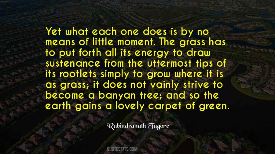 Quotes About Life Of A Tree #254698