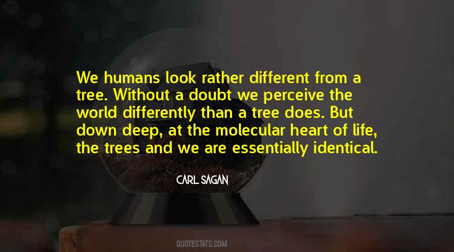 Quotes About Life Of A Tree #433572