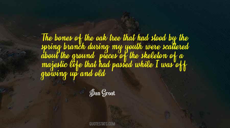 Quotes About Life Of A Tree #603424