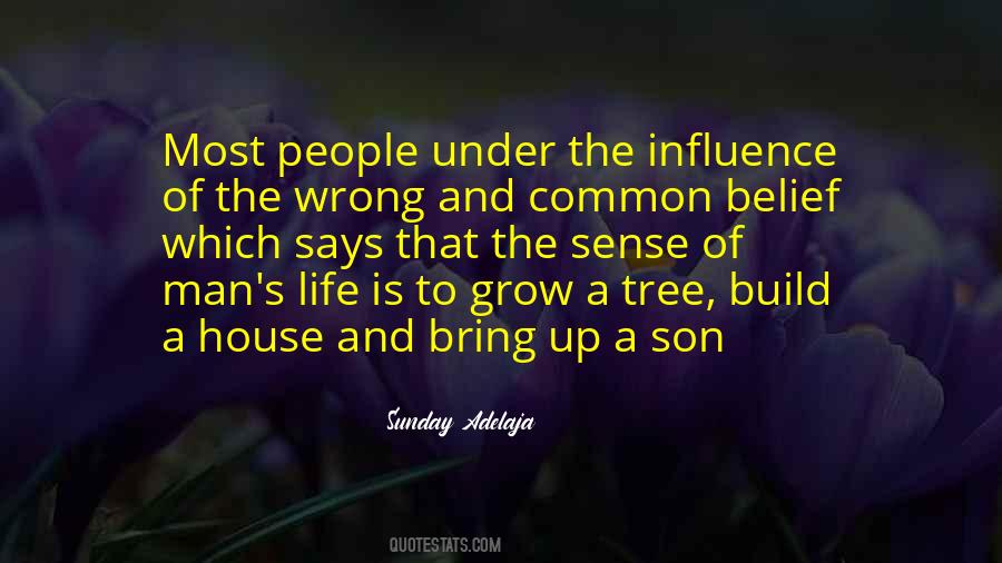 Quotes About Life Of A Tree #679326