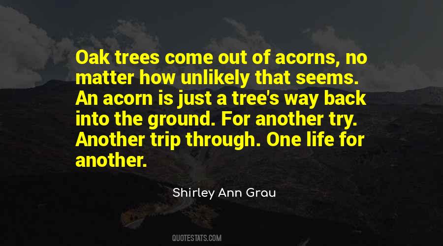 Quotes About Life Of A Tree #756160