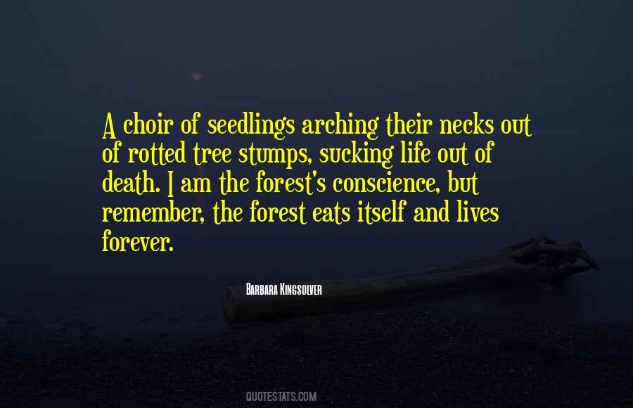 Quotes About Life Of A Tree #760594
