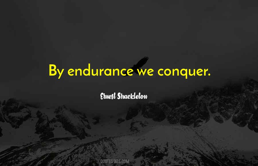 Shackleton's Quotes #1737410