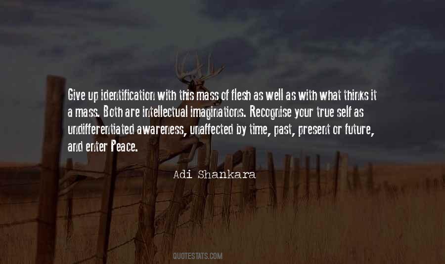 Shankara's Quotes #1479337