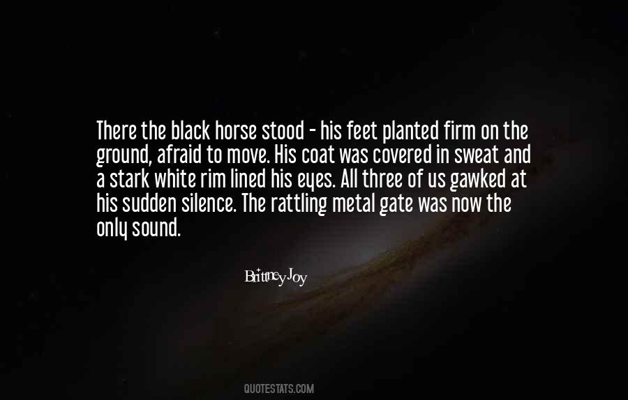 Quotes About A White Horse #196693