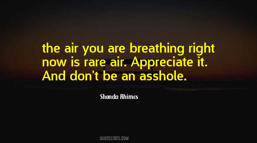 Shonda Quotes #596134