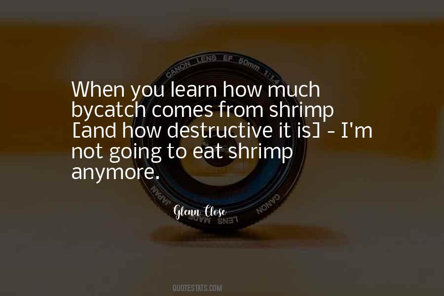Shrimp's Quotes #1248338