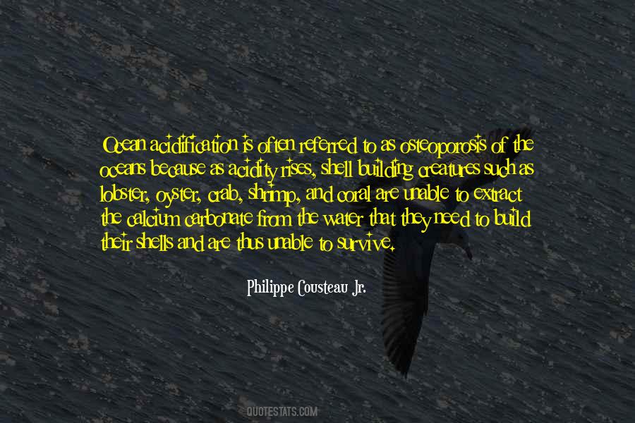 Shrimp's Quotes #829671