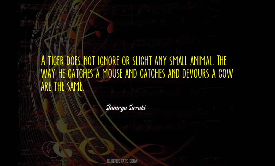 Shunryu Quotes #697574