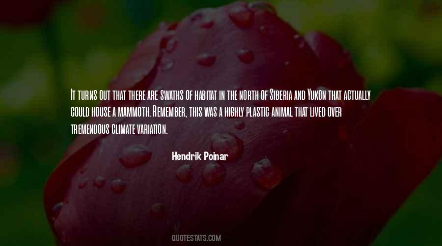 Siberia's Quotes #553324