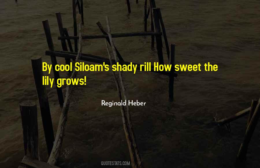Siloam's Quotes #974413