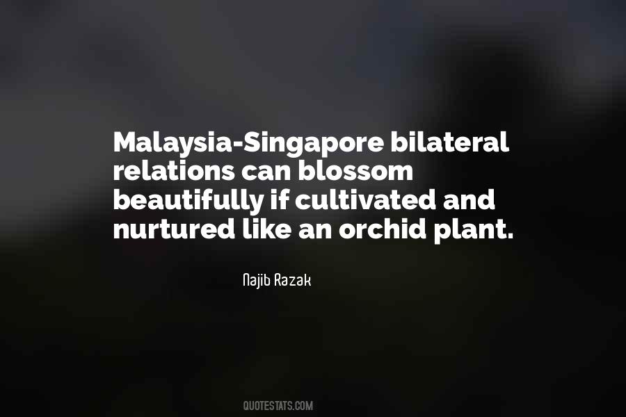 Singapore's Quotes #114671