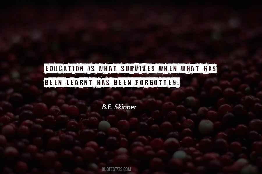 Quotes About Skinner #591393