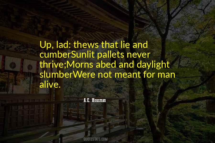 Slumber's Quotes #385770