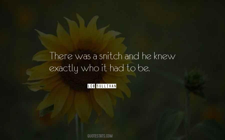 Snitch's Quotes #1722373