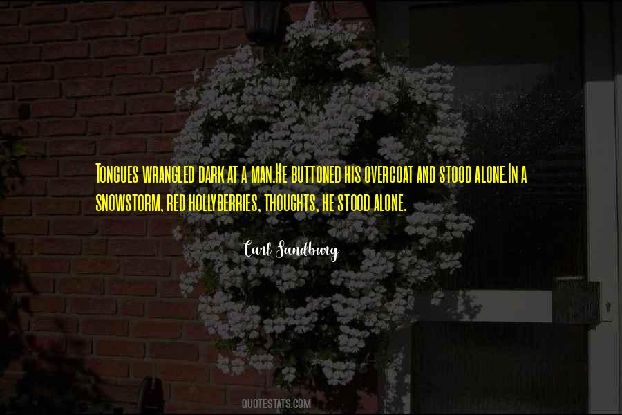 Snowstorm Quotes #1441277