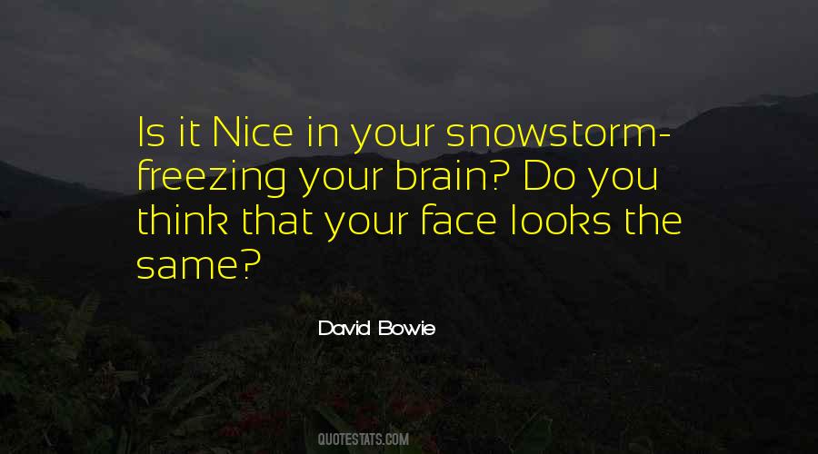 Snowstorm Quotes #1834793