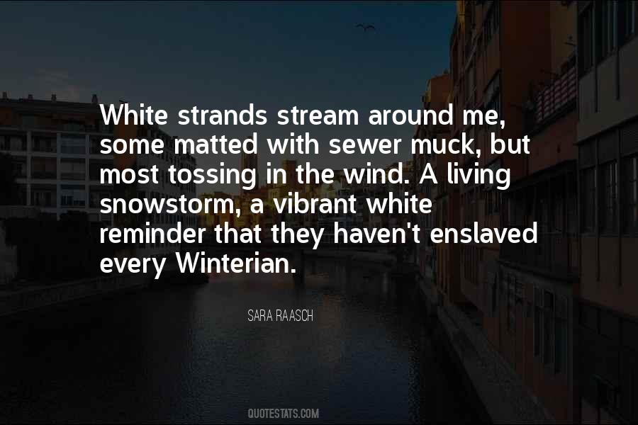 Snowstorm Quotes #314628