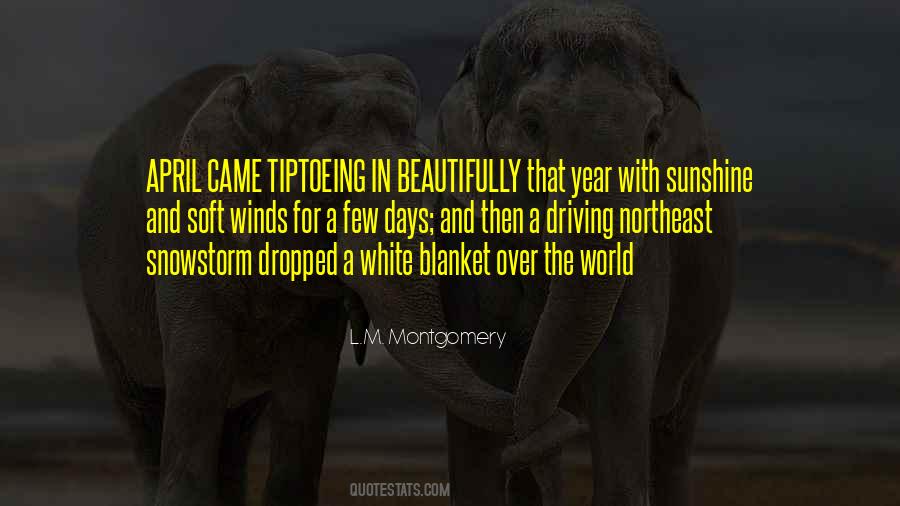 Snowstorm Quotes #466961