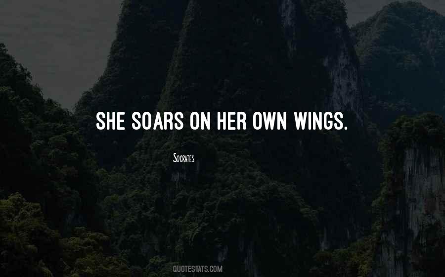 Soars Quotes #1664418