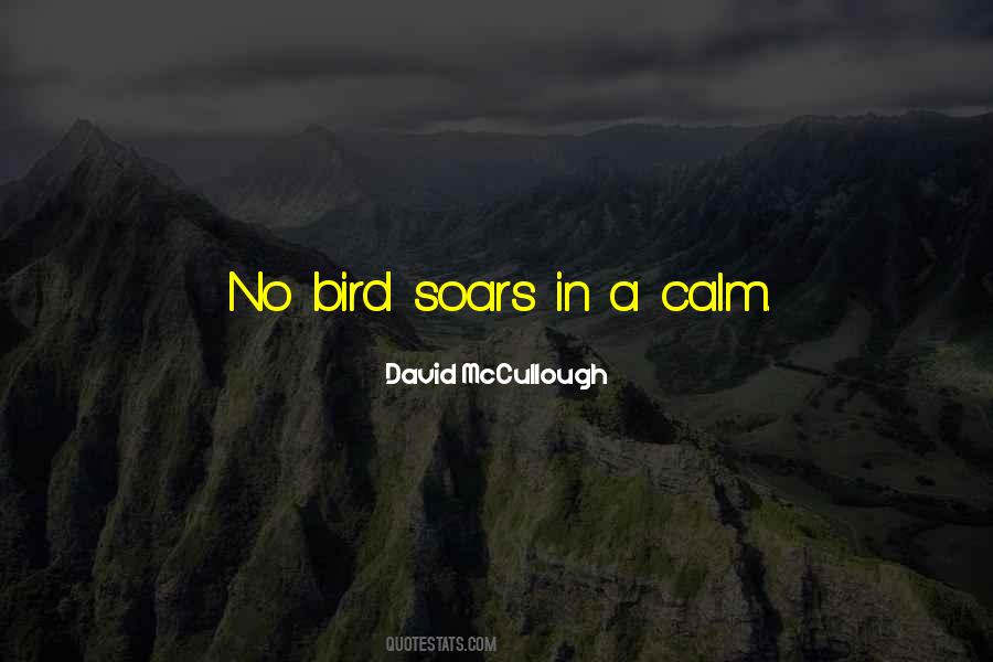 Soars Quotes #1685989