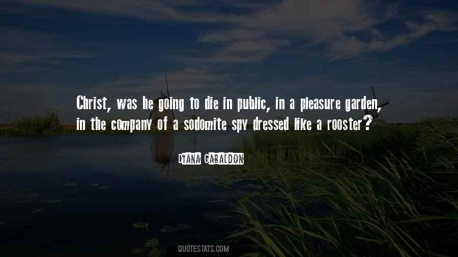 Sodomite Quotes #43385