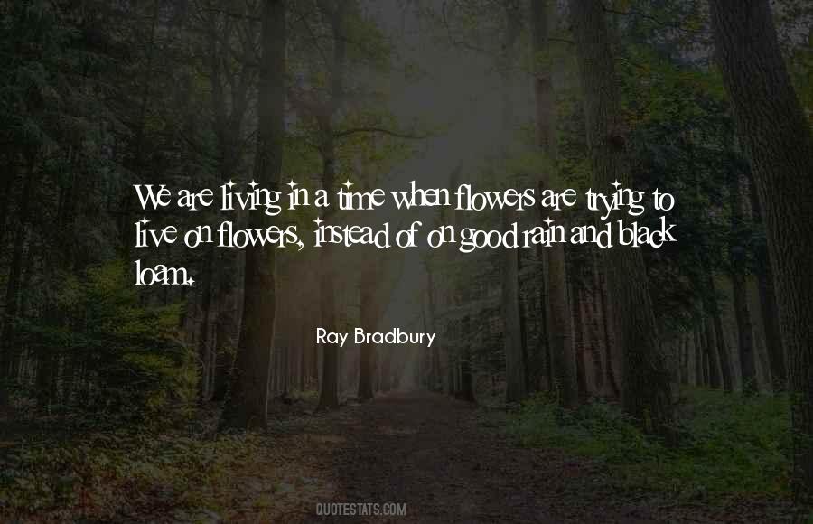 Soll Quotes #654126