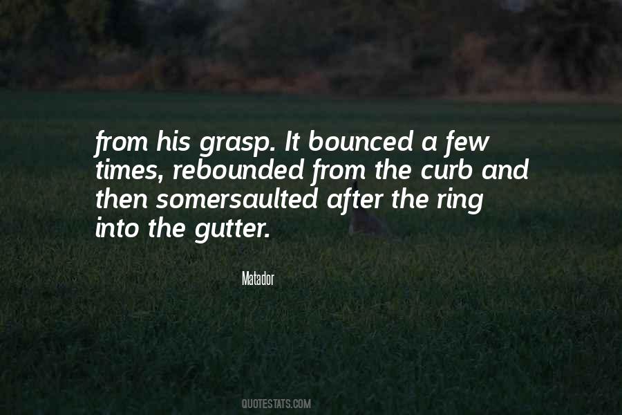 Somersaulted Quotes #1069969