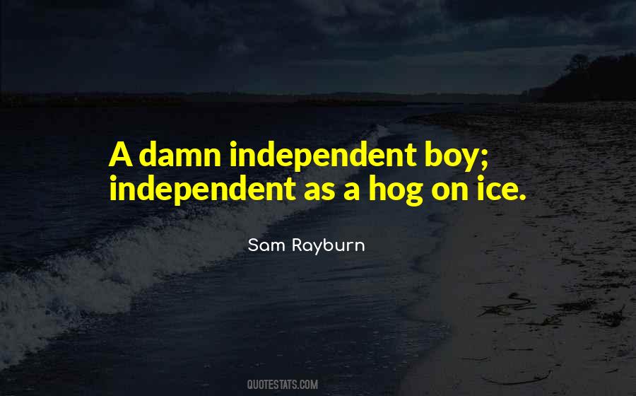 Sonofabitch Quotes #865292
