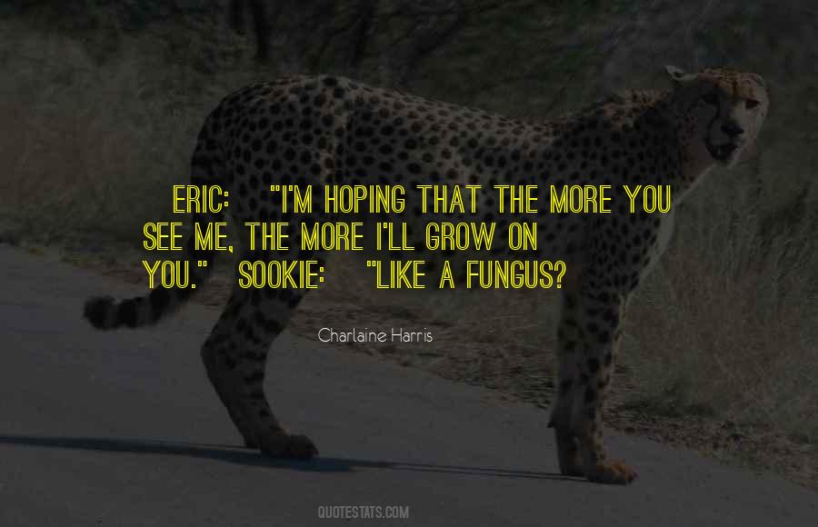 Sookie's Quotes #712935