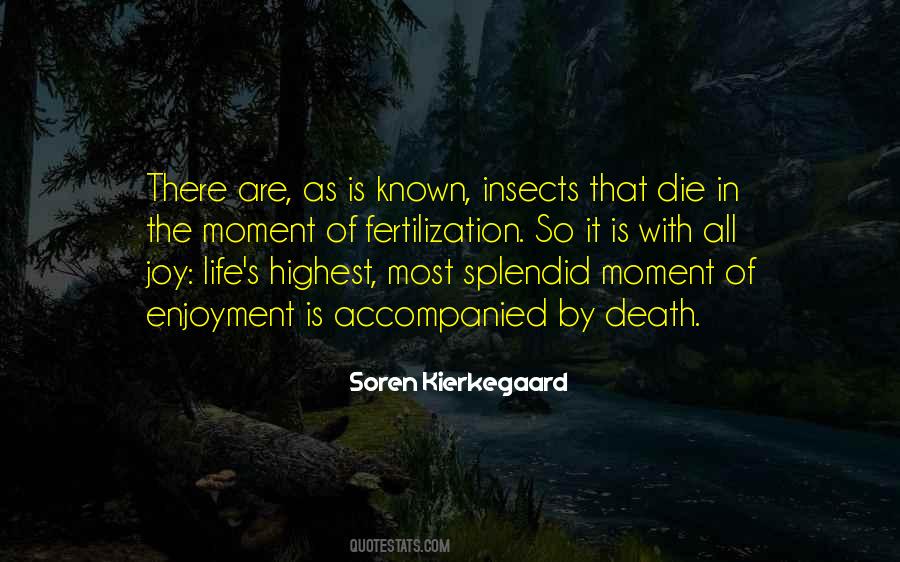 Soren's Quotes #1358870