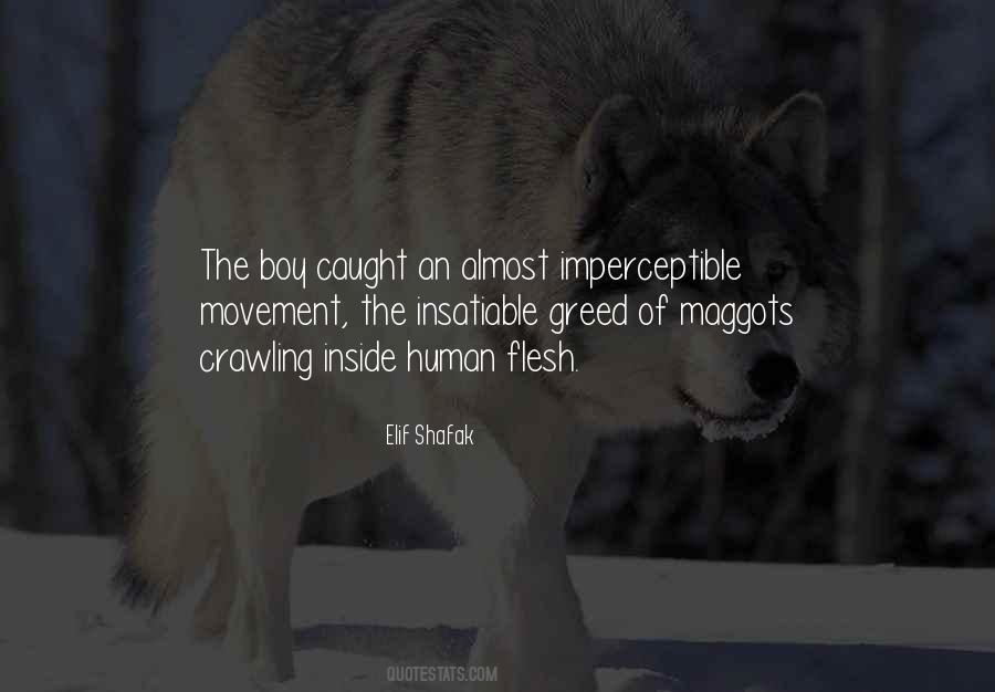 Quotes About Maggots #1779447