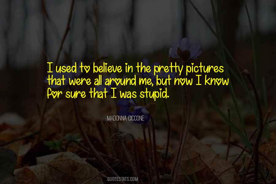 Quotes About Pretty Pictures #344295