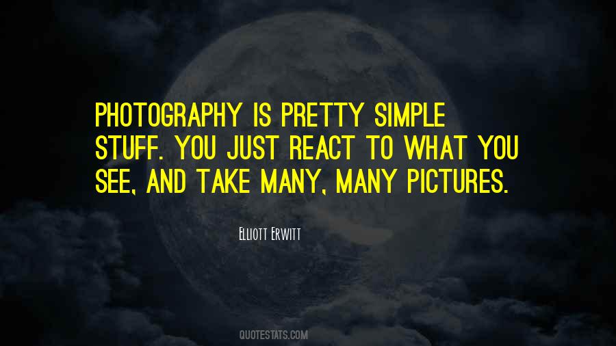 Quotes About Pretty Pictures #369991