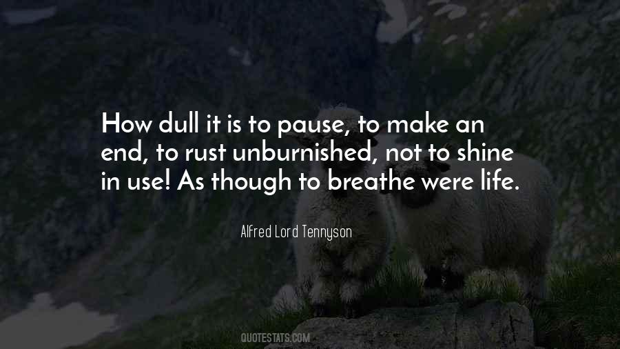 Quotes About Life Shine #102341