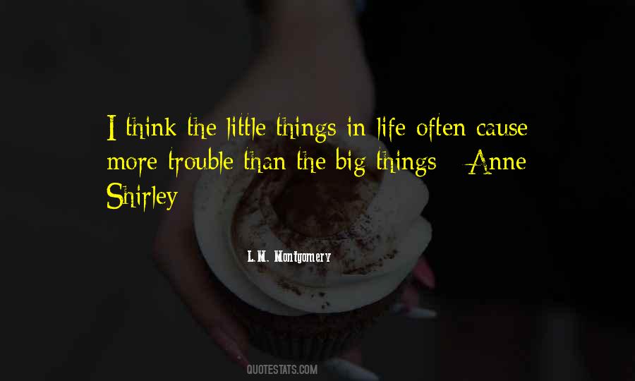 Quotes About The Little Things #1058329