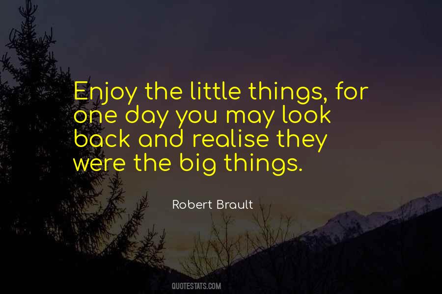 Quotes About The Little Things #1188917