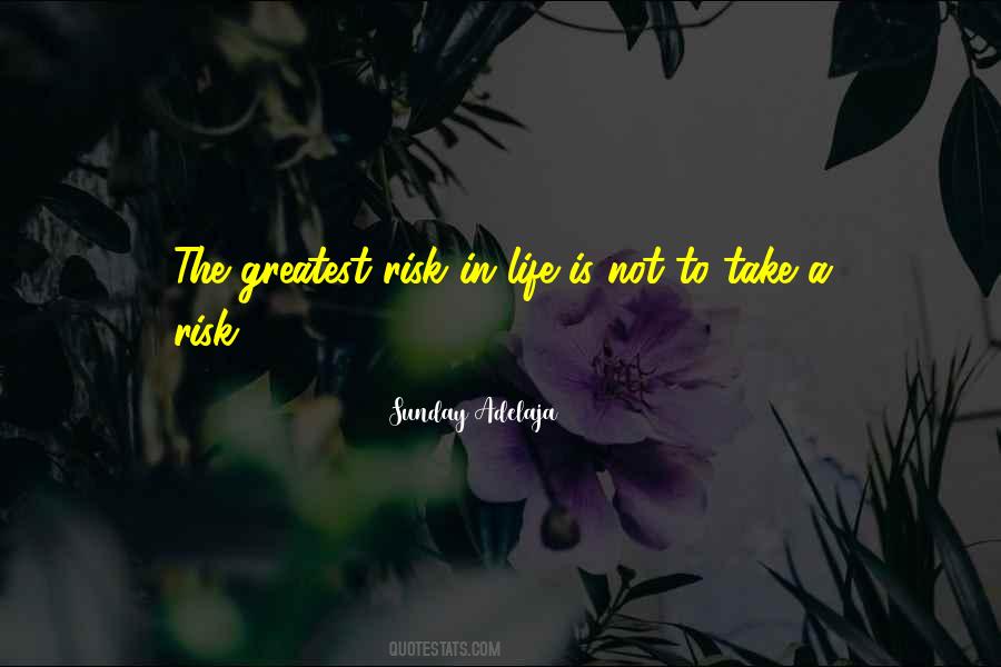 Quotes About Take A Risk #1858946