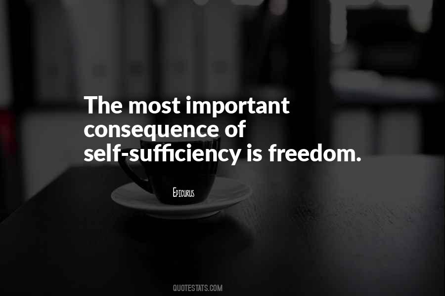 Quotes About Self Sufficiency #914021