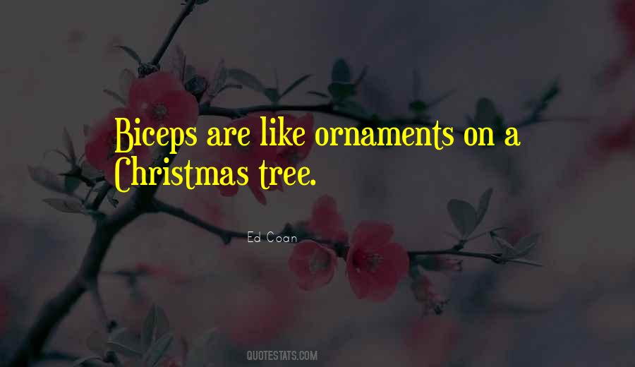 Quotes About Christmas Ornaments #1730797