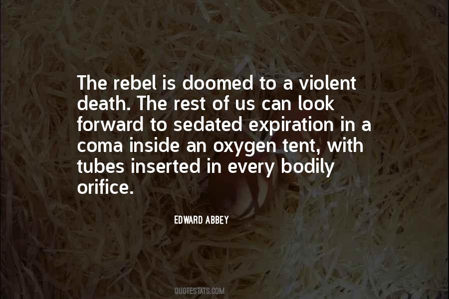 Quotes About Violent Death #935198