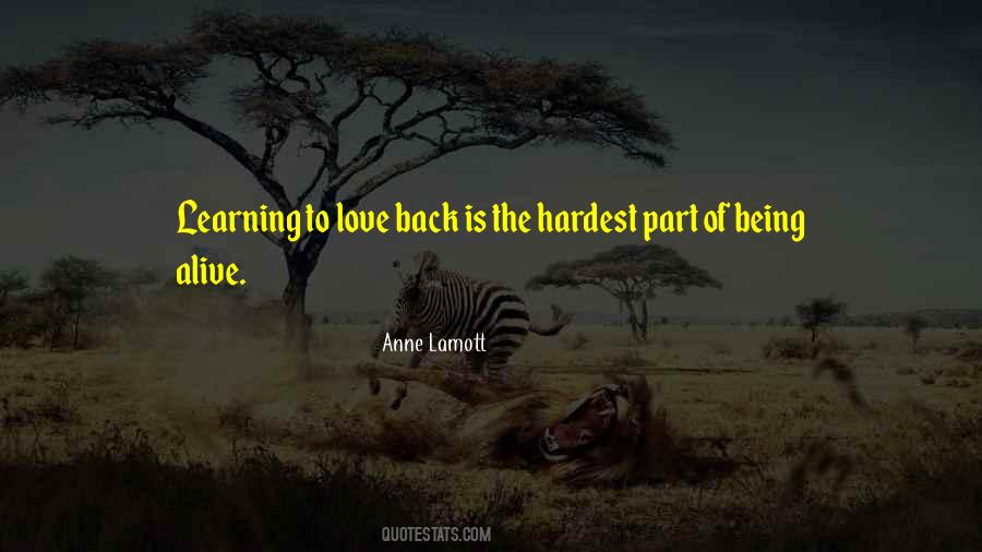 Quotes About Learning To Love #1817883