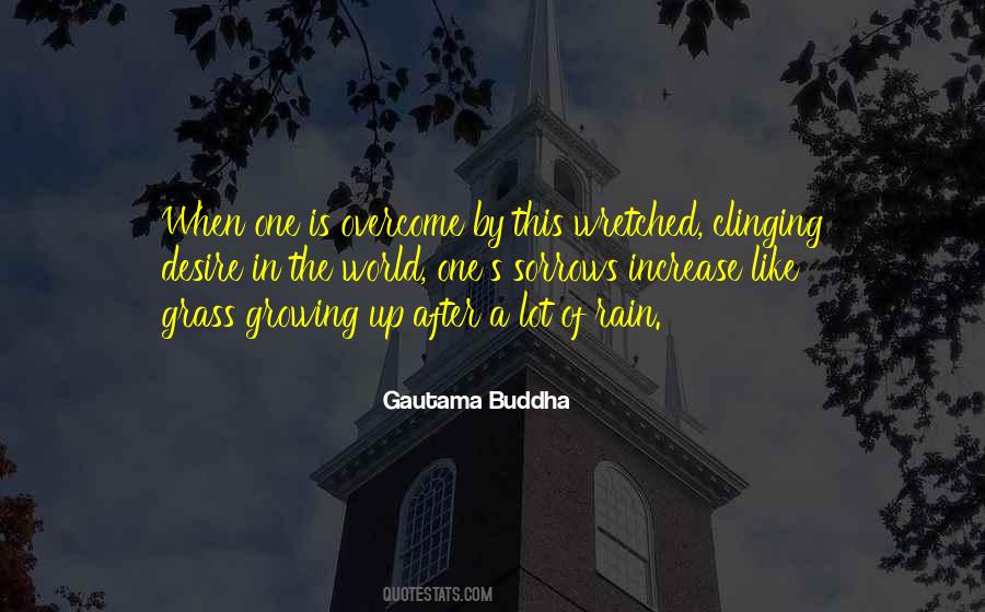 Squeegeed Quotes #960405