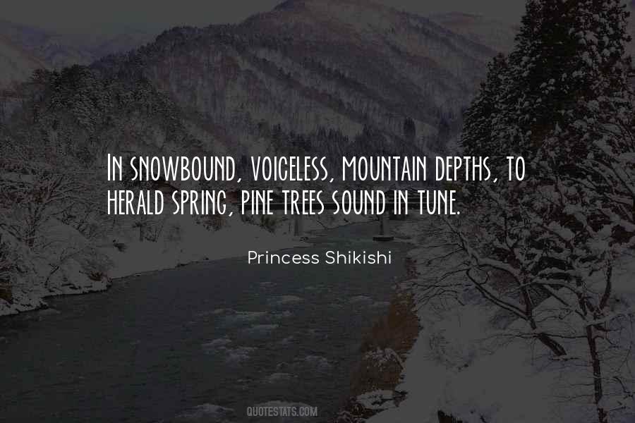 Quotes About Pine Trees #204276