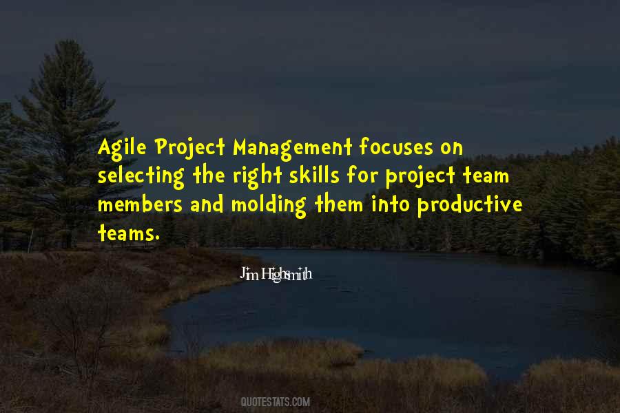 Quotes About Project Teams #396680