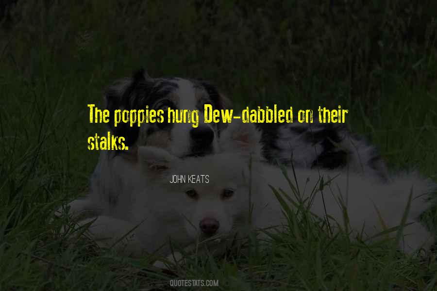 Stalks Quotes #1608055