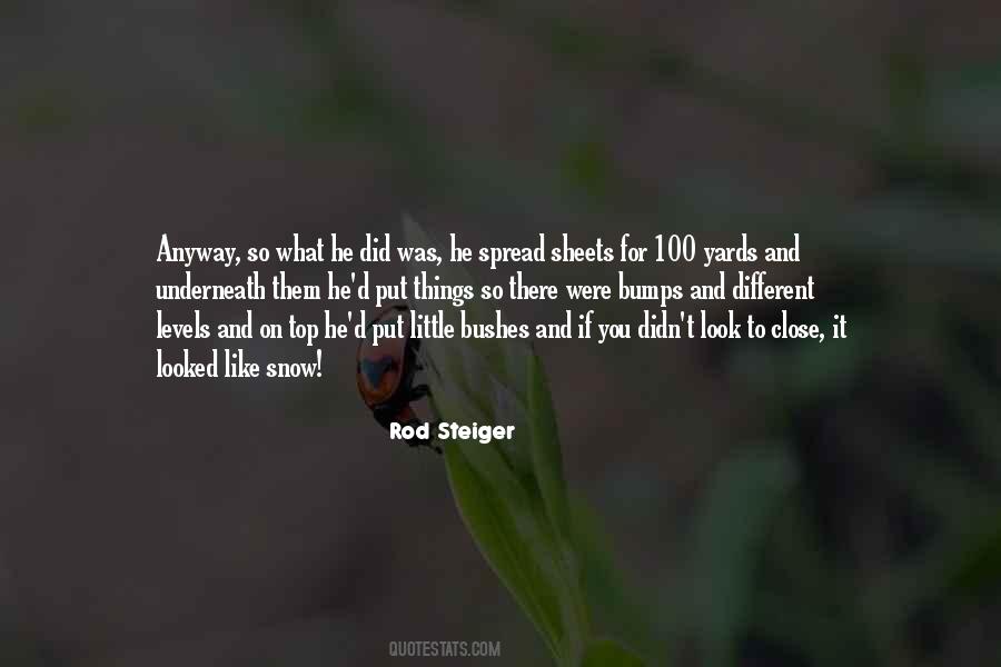 Steiger Quotes #446462