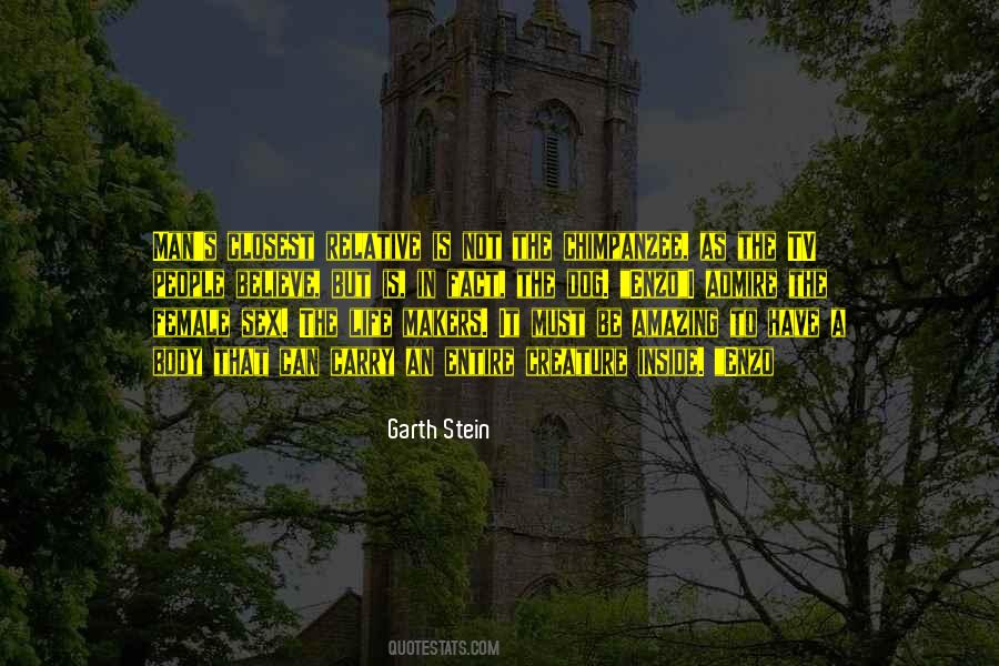 Stein's Quotes #426343