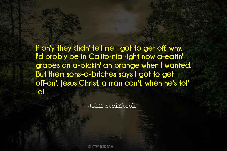 Steinbeck's Quotes #369921