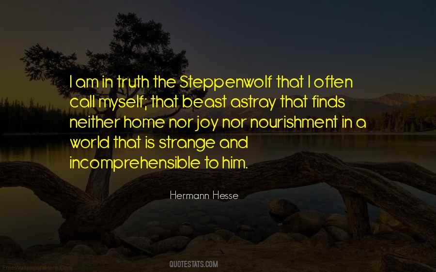 Steppenwolf's Quotes #579707